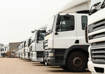 white lorries showing what caused the hgv driver shortage in the uk